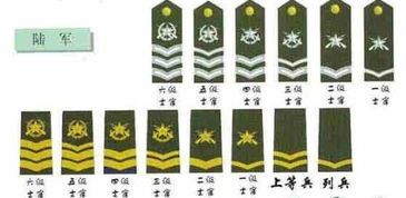 军衔肩章：解密级别高低的神秘符号 2