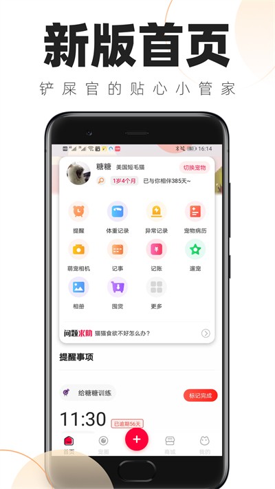 铲屎官日常免费版 截图4