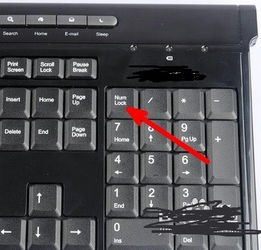 笔记本上使用小键盘的方法及无小键盘解决方案 1