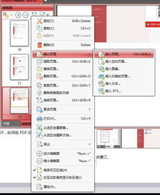 如何在PDF中添加第二页内容 1