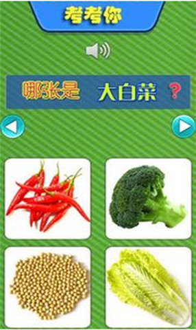儿童教育之识蔬菜 1