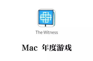 揭秘'witness'一词的真正含义，你了解多少？ 3