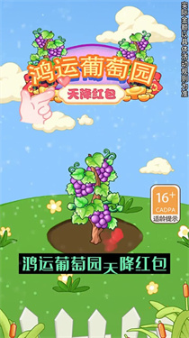 鸿运葡萄园 1