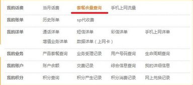 联通如何查询当月上网流量总量？ 2