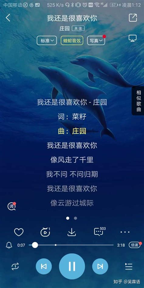 揭秘：“不问归期”究竟是哪首热门歌曲的动人歌词？ 3