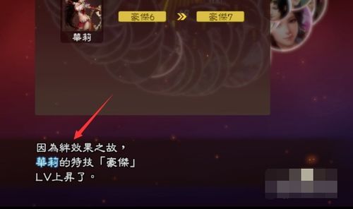 《三国志8》浪漫婚姻全攻略 1
