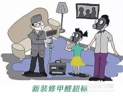 高效清除甲醛的方法 2
