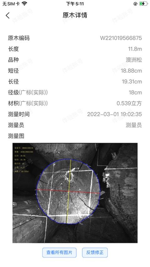 测木王 截图2