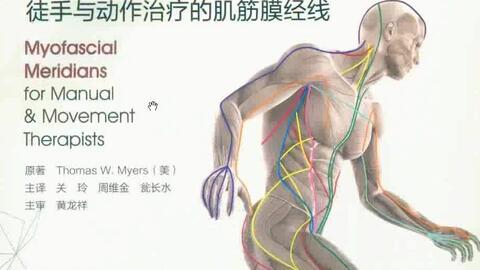 探索骨骼肌奥秘：中文版VisibleBody Muscle软件安装与配置指南 3