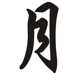 揭秘汉字奥秘：探寻那些藏着'忄'字旁的温馨与心动之字 3