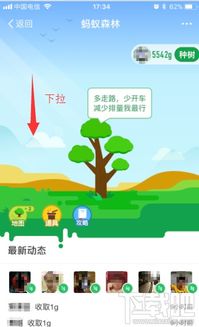 如何在支付宝蚂蚁森林为好友浇水 2