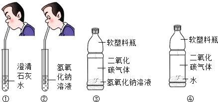 揭秘：澄清石灰水的神奇功效与应用 3