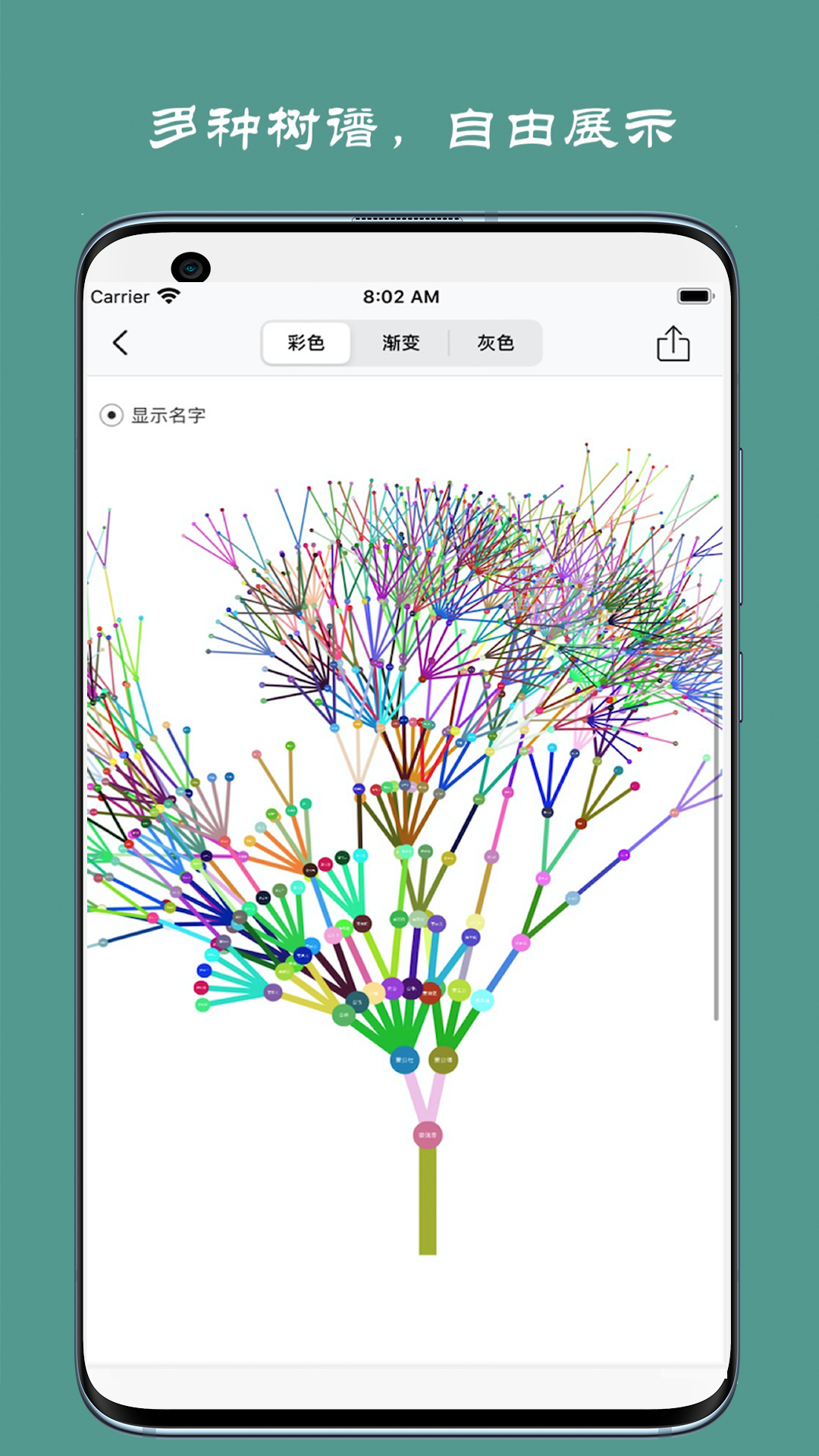 族记家谱app 截图3