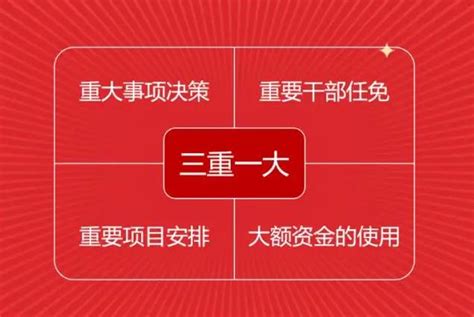 三重一大具体指的是哪些内容？详细解析 4