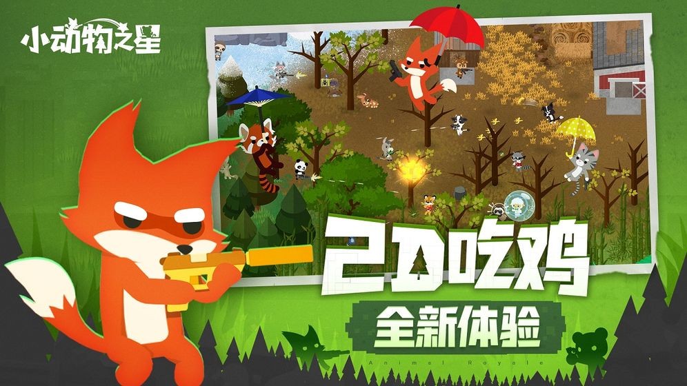 小动物之星 截图3