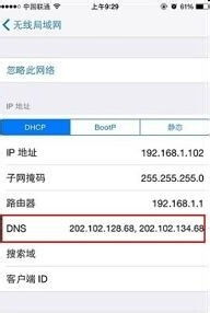 解决无法访问App Store或APP Store显示空白的方法 2