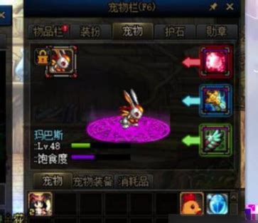 DNF白兔子获取攻略：轻松解锁神秘萌宠！ 4