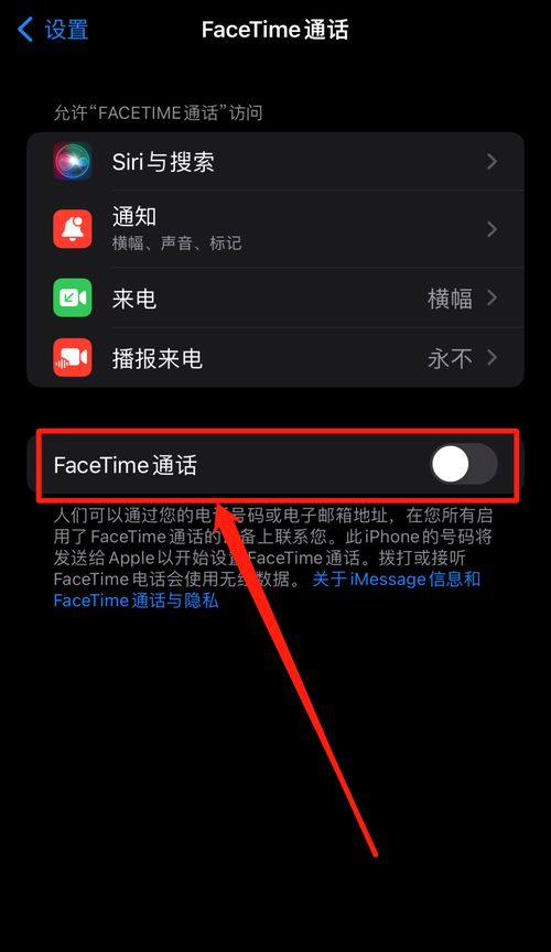 一键搞定！轻松关闭FaceTime通话的秘密技巧 4