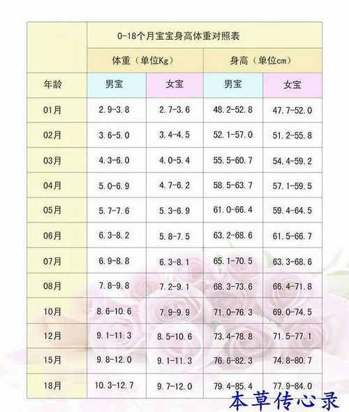 身高比例计算方法 1