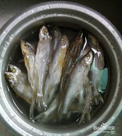 香煎鱼干：解锁鱼干美味的绝妙秘籍 1