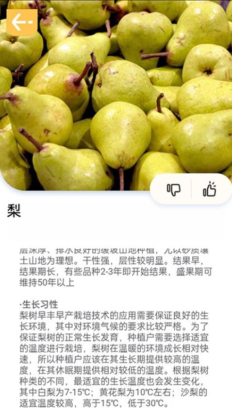 百果日记最新版 1