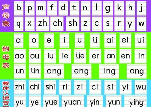 拼音发音时舌头应如何放置 1