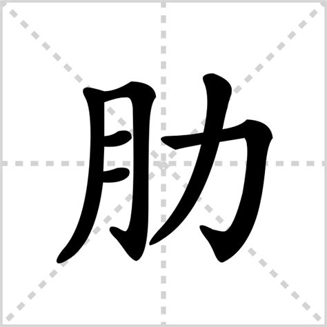 如何正确发音'肋'这个字？一读就懂，轻松掌握！ 2