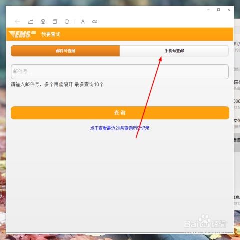 一键揭秘：如何通过手机号轻松追踪快递物流，让你的包裹信息尽在掌握！ 3