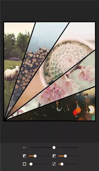 Moldiv官方下载 截图3