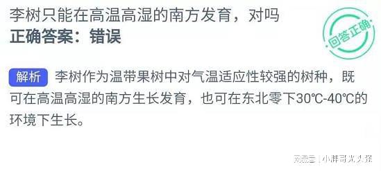 《蚂蚁庄园》揭秘：牙齿小白点，应该如何应对？ 1