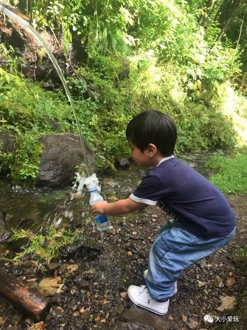 高效徒手除草技巧 1