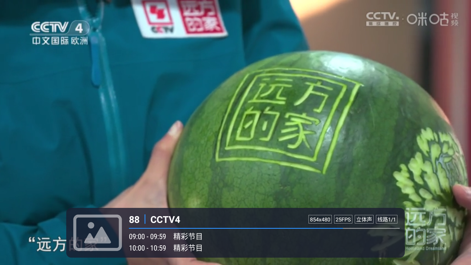 嘉庆TV免费版 截图4