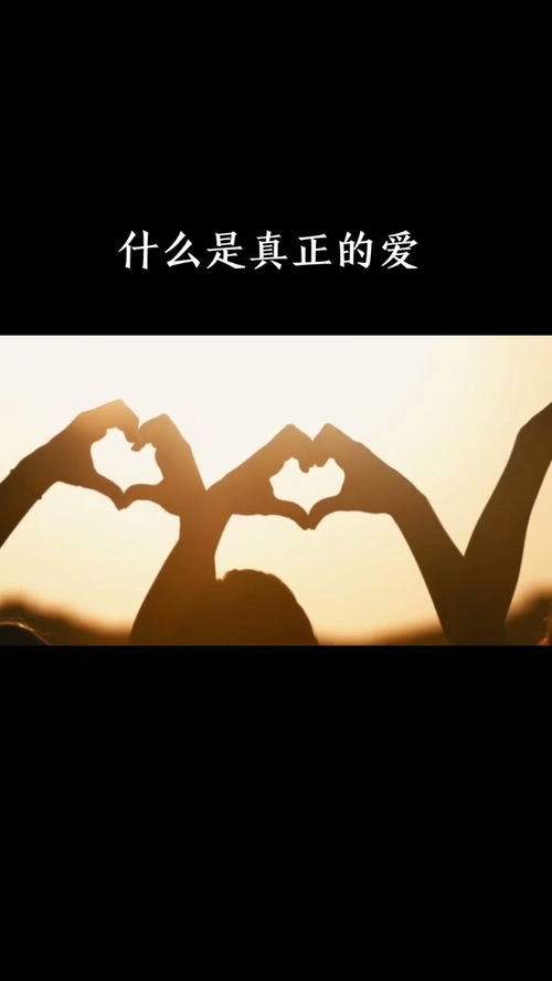 探索真爱：何为心灵深处的真挚情感 1