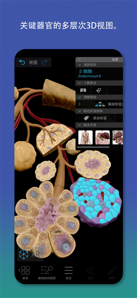 atlas人体解剖软件 截图2