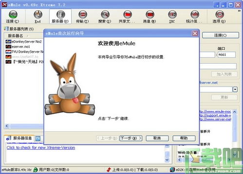 如何高效使用电驴(eMule)下载资源 2