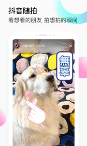 测测你的动物基因 截图4