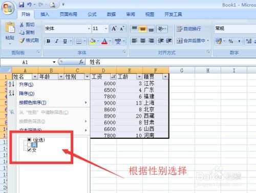 Excel筛选技巧：轻松掌握筛选数据的方法 2