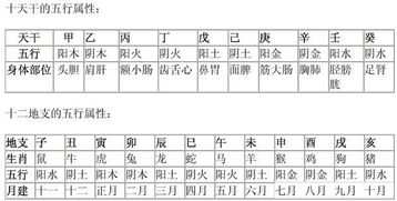 天干地支五行如何解读？ 1