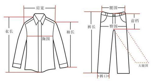 服装尺寸解析：L码代表什么 1