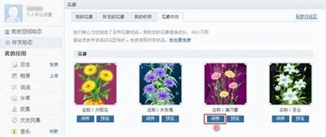 打造个性化空间：轻松将绚烂花藤装饰融入QQ空间主页 2
