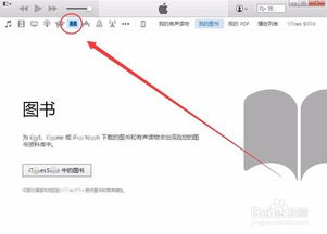 全面掌握iTunes：实用操作指南与技巧 3