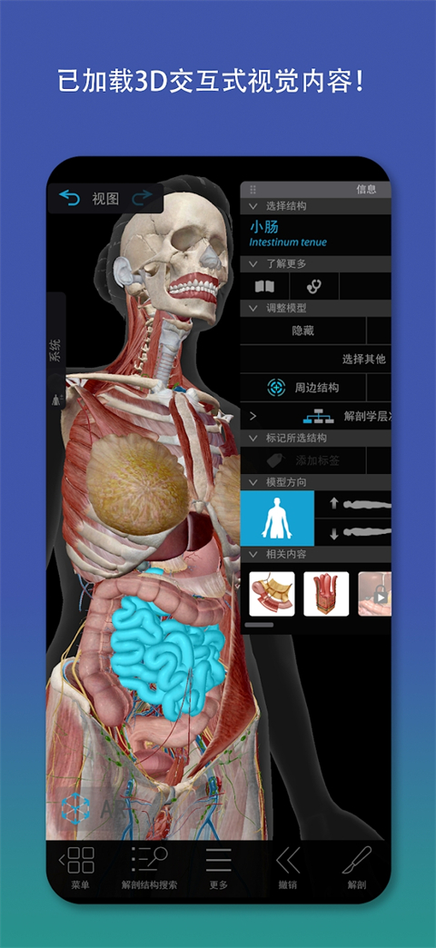 atlas人体解剖软件 截图3