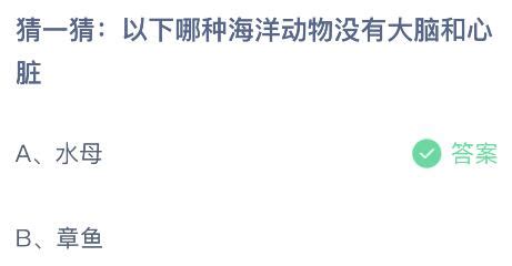 揭秘！竟有海洋动物无大脑与心脏，它是谁？蚂蚁庄园小课堂为你解答！ 3