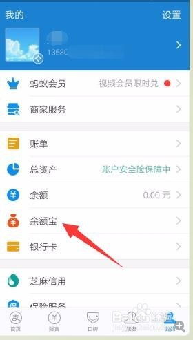 轻松学会！如何在支付宝查询个人余额明细 4
