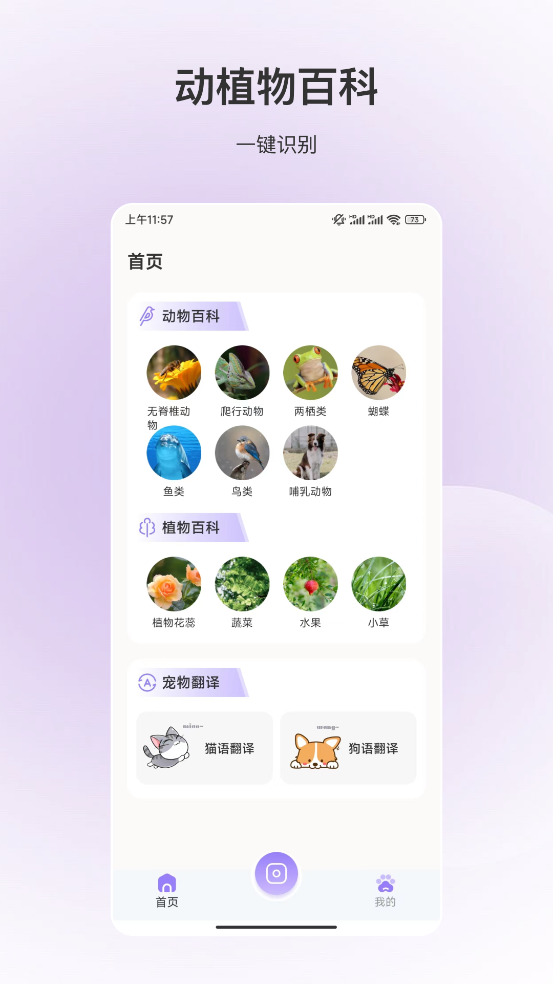 动物识别 1