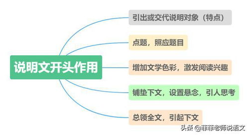 掌握说明方法的多样性与应用实效 3