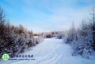 中国哪些地方最冷？ 1