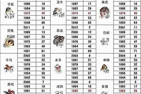 揭秘！2003年出生的你现在几岁了？ 3