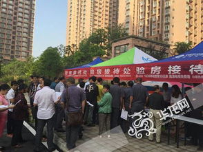 大渡口区公共租赁住房位置指南 1
