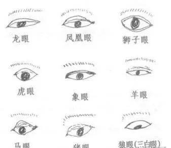 面相学：洞悉人心的微妙艺术 1